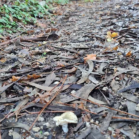 Quinta Do Paul De Baixo גימראייש