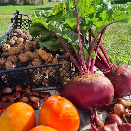 ゲストハウス Quinta Do Paul De Baixo 4*