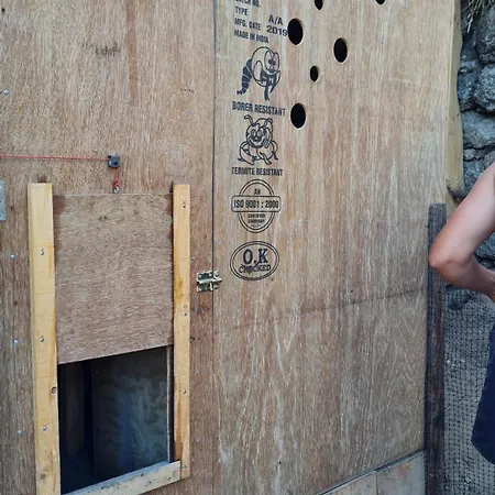 Quinta Do Paul De Baixo ギマランイス