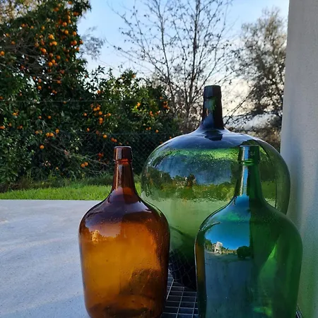 Pensjonat Quinta Do Paul De Baixo Guimarães