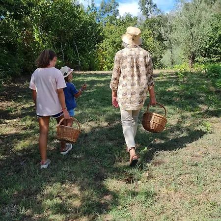Quinta Do Paul De Baixo Guimarães