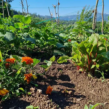 Quinta Do Paul De Baixo