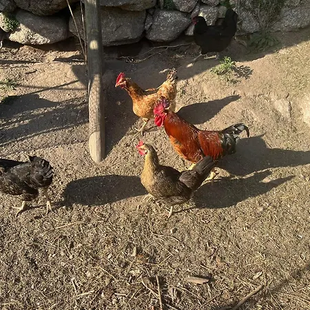 Quinta Do Paul De Baixo ギマランイス