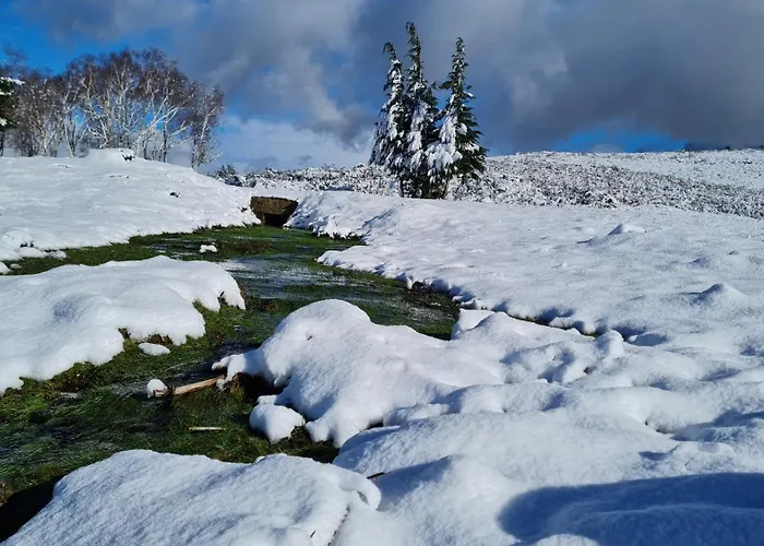 Quinta Do Paul De Baixo 게스트하우스