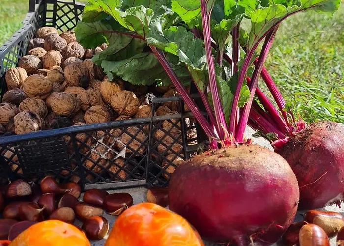 게스트하우스 Quinta Do Paul De Baixo 4*