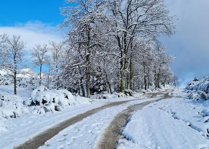 Quinta Do Paul De Baixo 4* 귀마레스