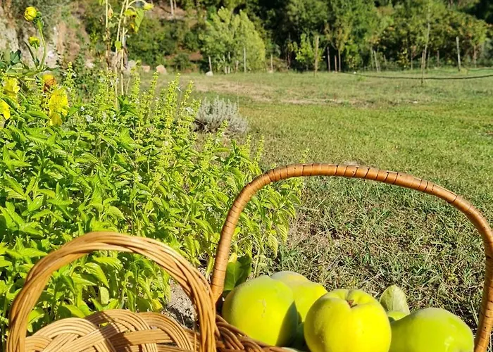 Quinta Do Paul De Baixo 4* 귀마레스