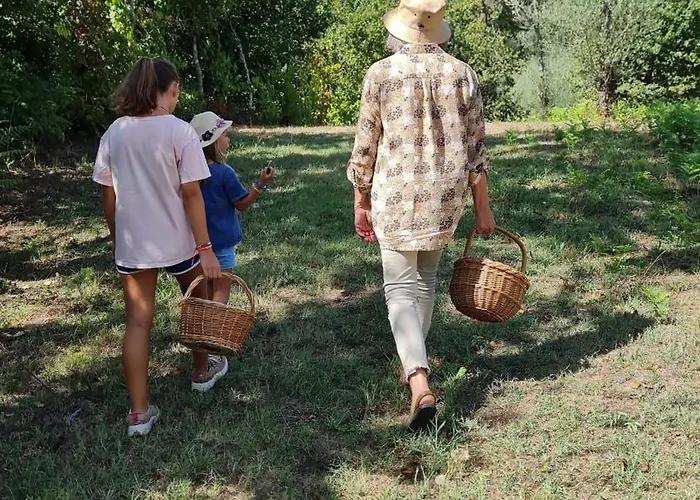 Quinta Do Paul De Baixo 귀마레스