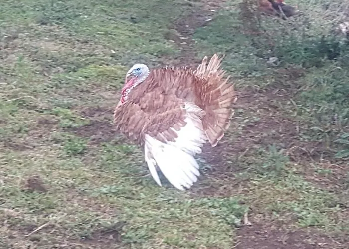 게스트하우스 Quinta Do Paul De Baixo 귀마레스