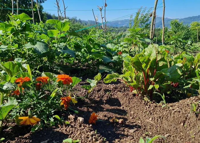 Quinta Do Paul De Baixo