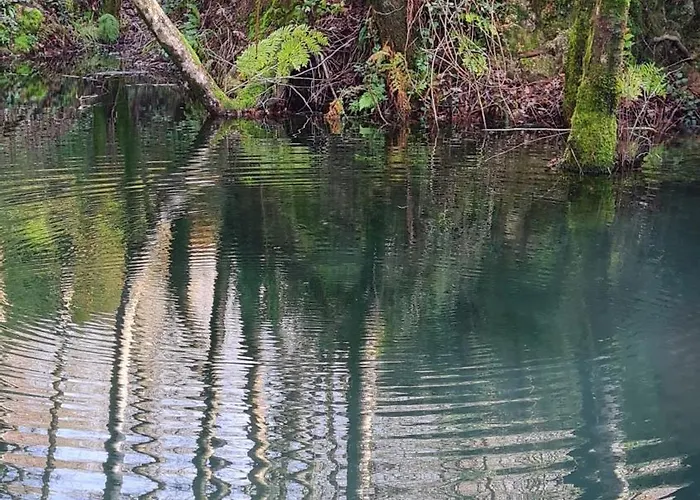 게스트하우스 Quinta Do Paul De Baixo