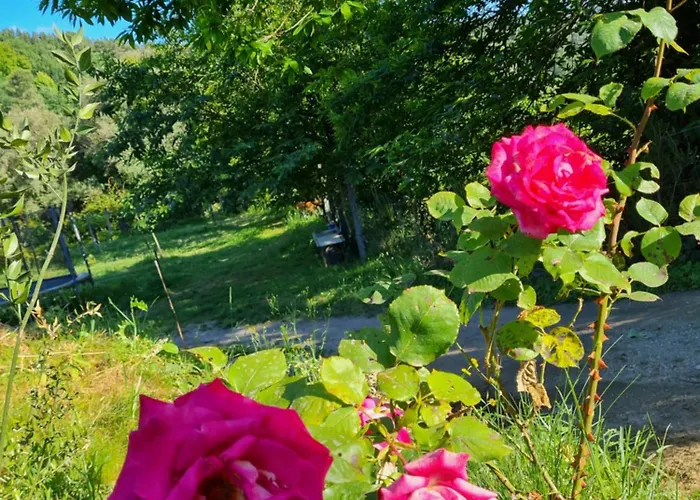 Quinta Do Paul De Baixo 4*