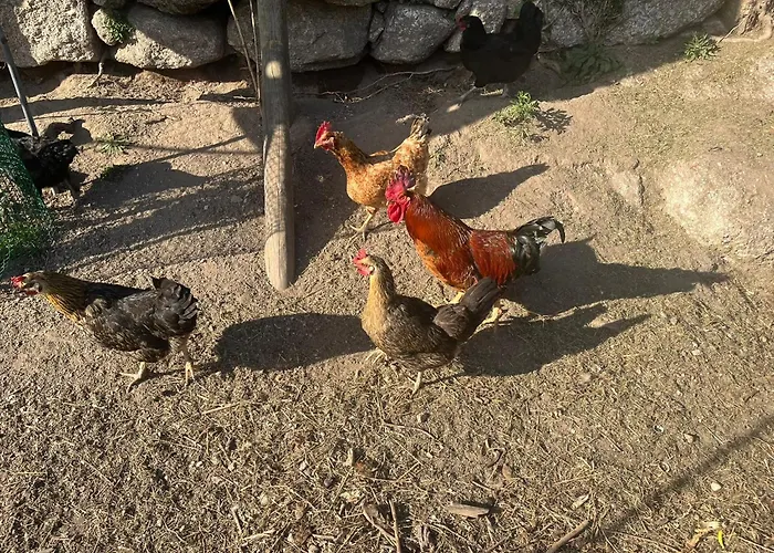 Quinta Do Paul De Baixo 귀마레스