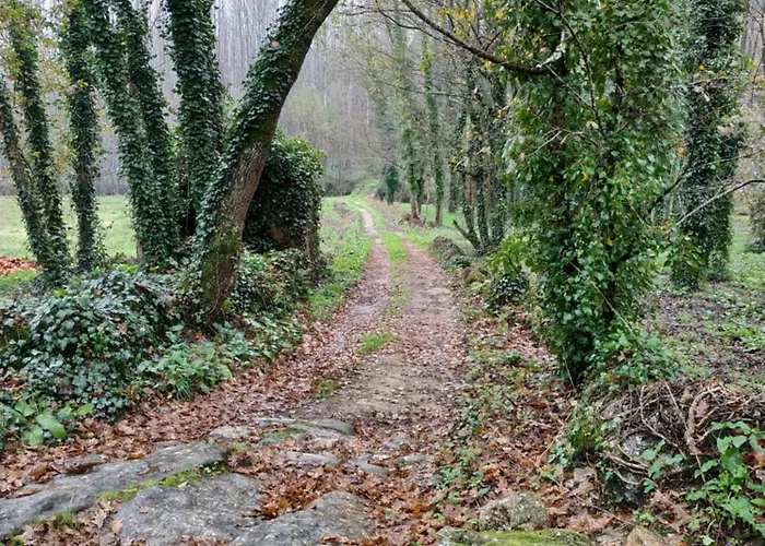 게스트하우스 Quinta Do Paul De Baixo 4*